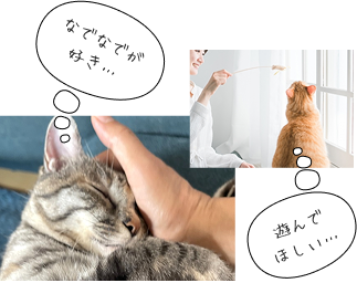 猫なでなで