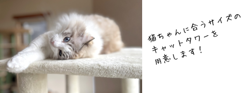 ルームこはだの特徴