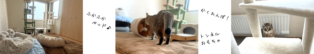 ルームもみじの特徴