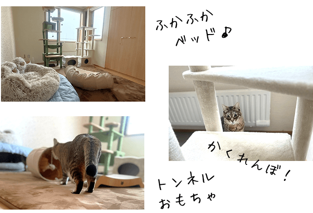 ルームもみじの特徴